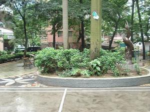 先烈中路81号大院小区图片