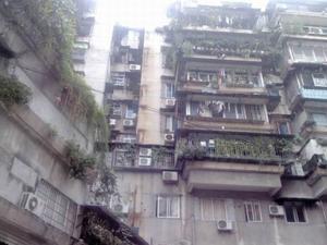 泰沙路小区图片
