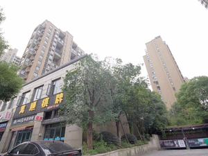 银树湾小区图片