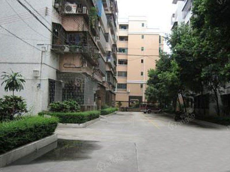 芙蓉新村小区图片