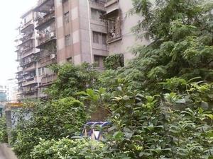 飞鹅西路小区图片