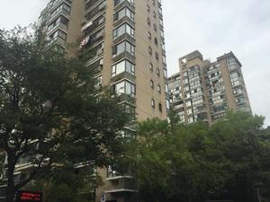 达安春之声小区图片