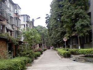 有色金属研究院小区图片