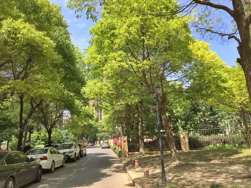 美岸栖庭(公寓)图片