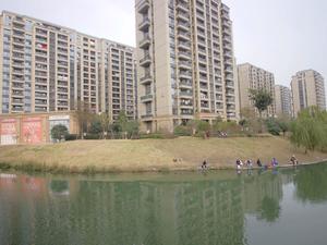 曙光之城小区图片