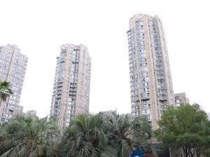 倾城之恋小区图片