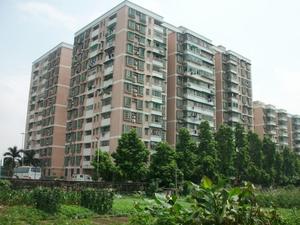 光复北路小区图片