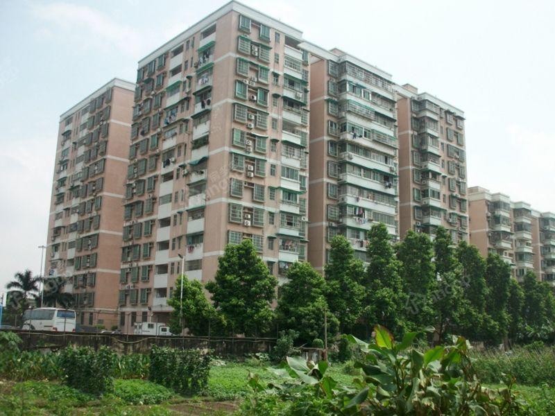 光复北路小区图片
