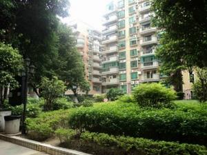 华景新城泽晖苑小区图片