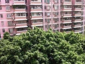 春兰花园小区图片