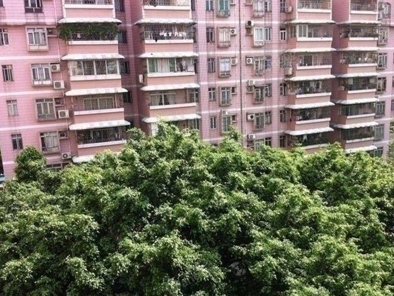 春兰花园图片