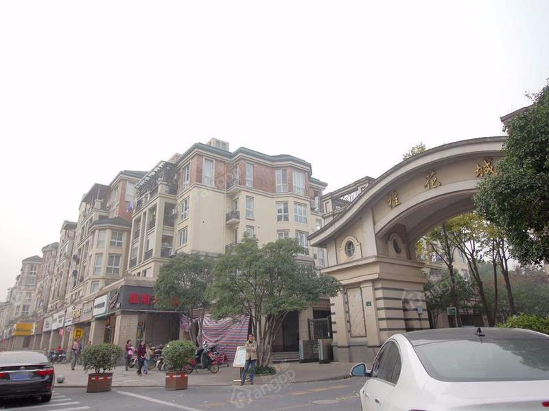 桂花城图片
