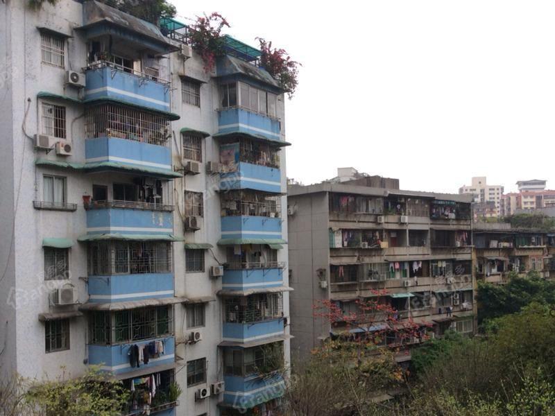 紫金大街图片