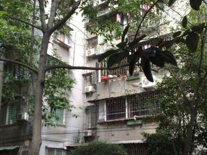 越秀北路小区图片
