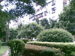 赤岗苑小区图片