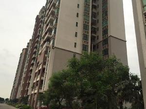 裕丰新村小区图片