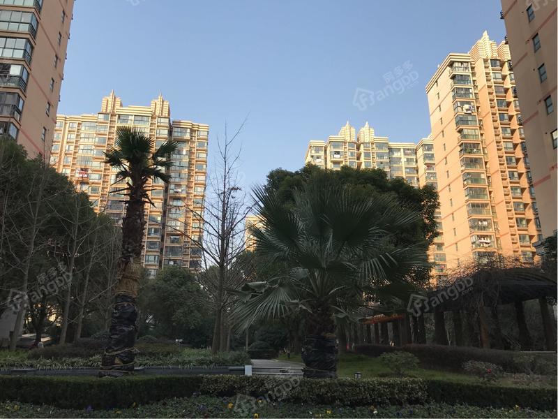 天山华庭图片
